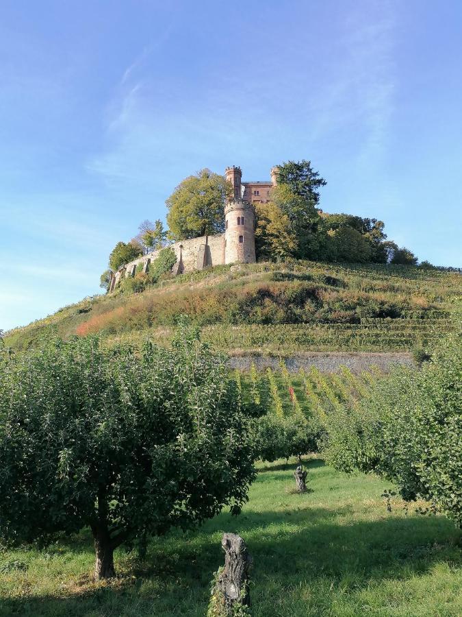 Alter Bahnhof Ortenberg Ortenberg  Eksteriør billede